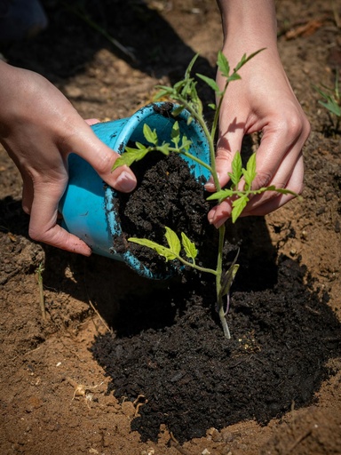 Ecological Agriculture