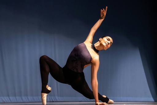 Fine Arts (Dance and Drumming)