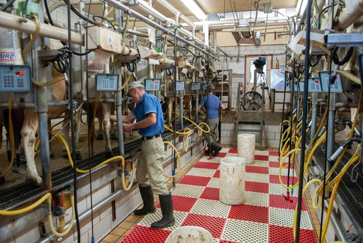 Livestock Production Technology