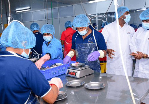 Sea Food Technology